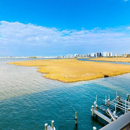 Pintail Point Condos Ocean City Room photo